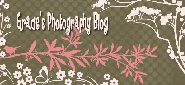 Gracie's Photography Blog