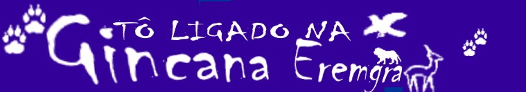 Tô Ligado na Gincana Eremgra