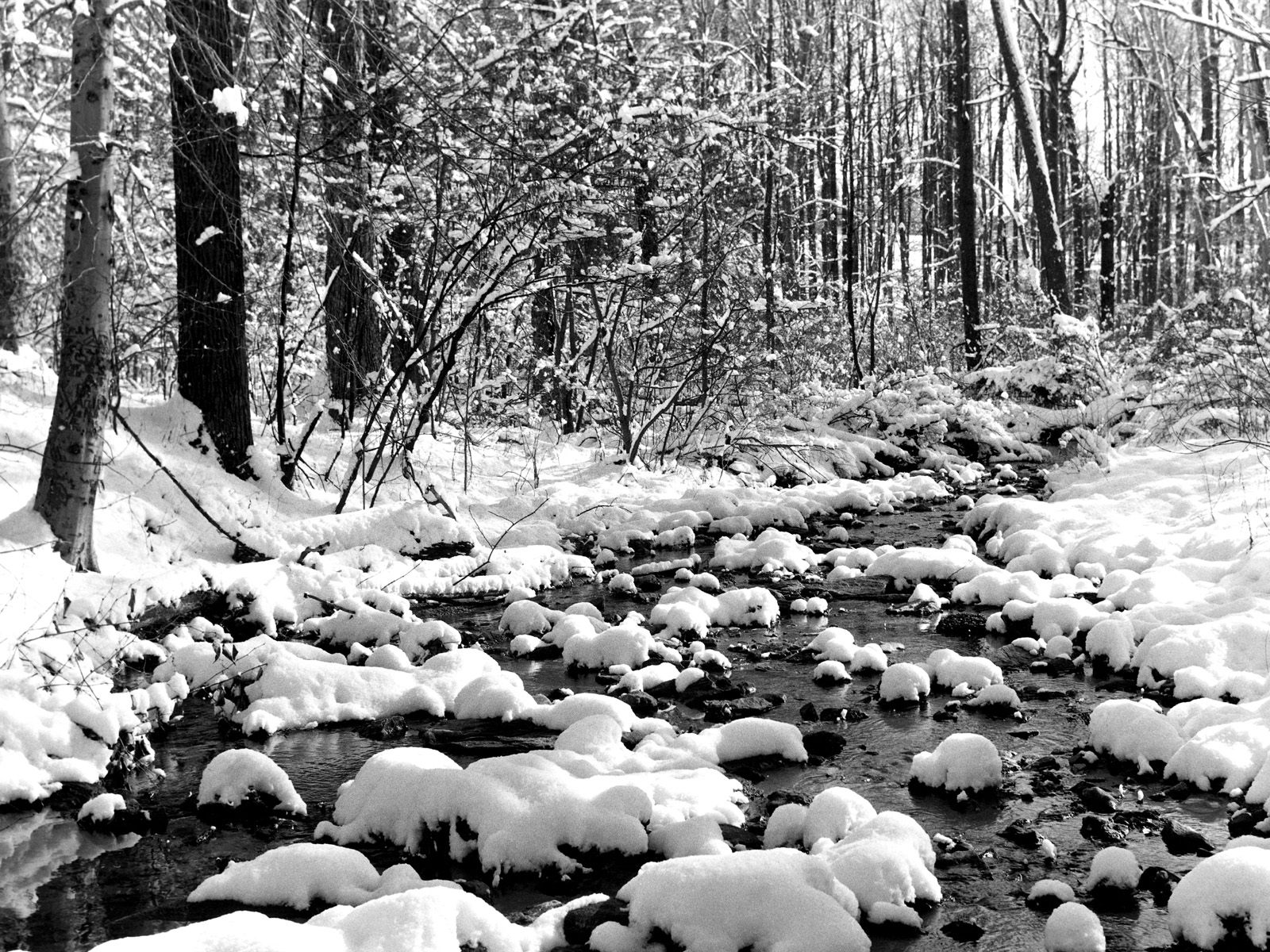 [Snowy-River-Nature-HD-Wallpaper.jpg]
