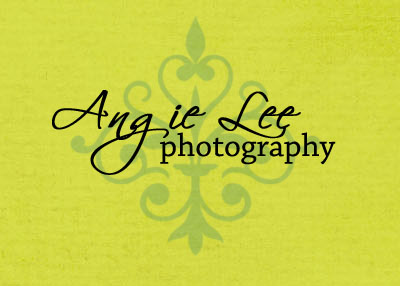 Angie Lee Photography