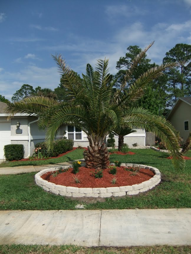 Chris & Beth's short attention span theatre: Front Yard Landscaping