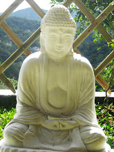 Meditação Jardim