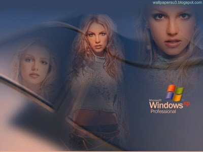 Windows XP Normal Resolution Wallpaper 4