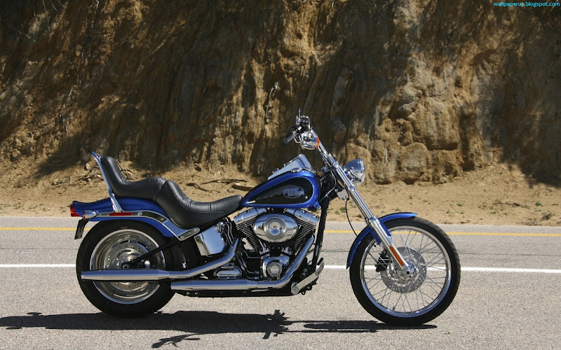Harley Davidson Bike Widescreen Wallpaper 6