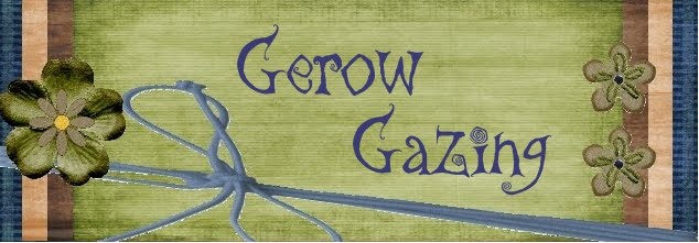 Gerow Gazing