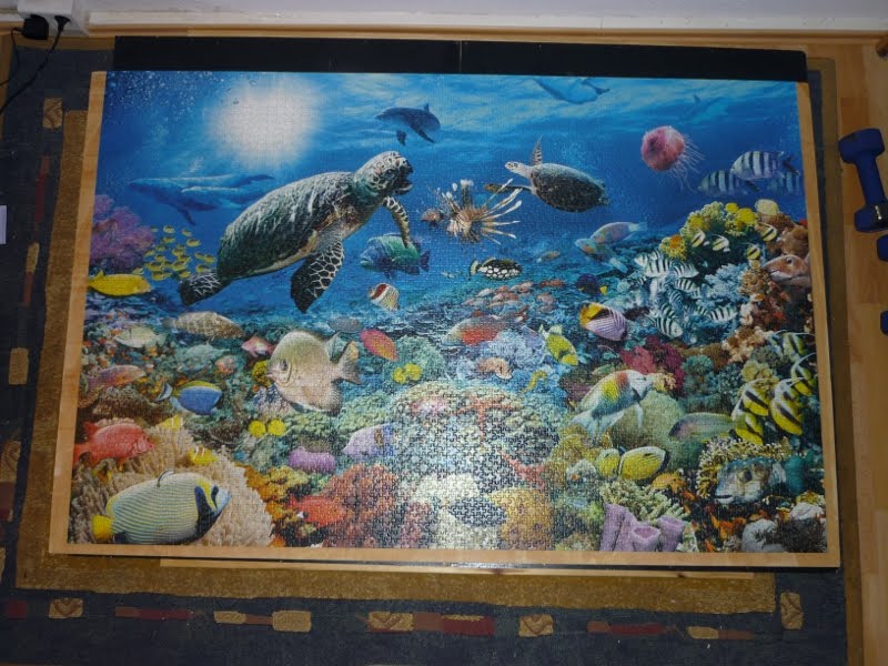 Bilder aus meiner Welt