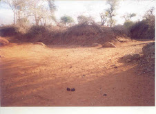 Dry streams in the village