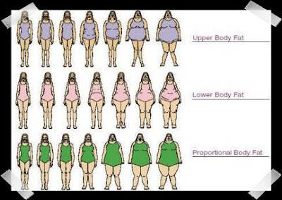 prettyinpear: More Body Shapes .