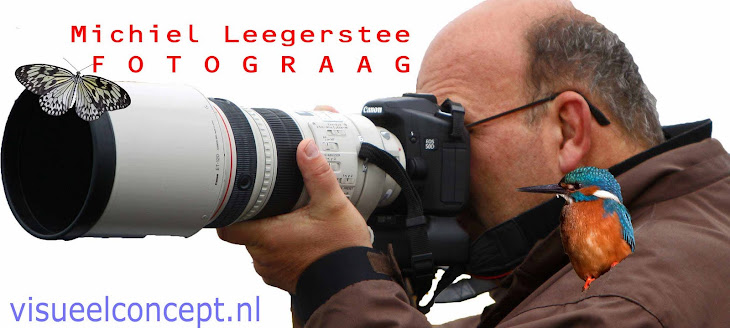 Belevingsfotografie