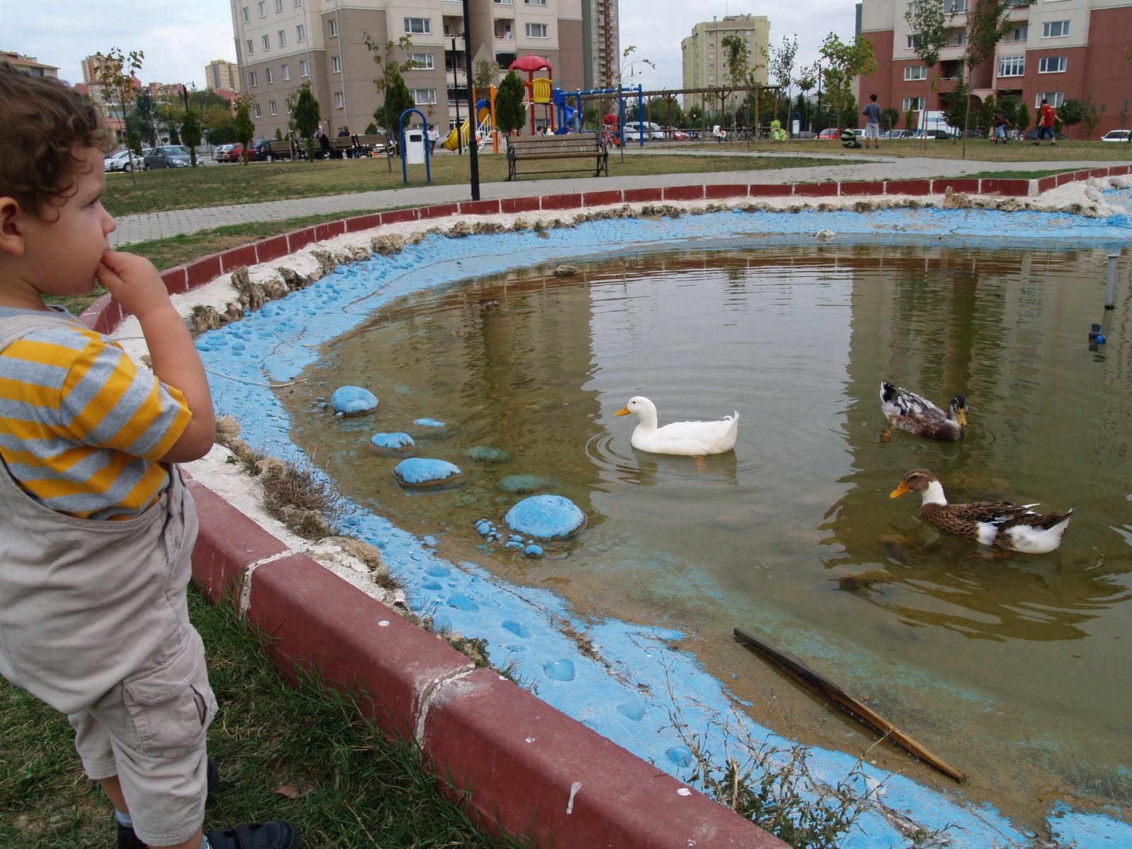 Annelerin Dünyası Hayvan sevgisi