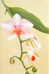 acrylic canvas flower paint flowers painting orchid paintings fresh many