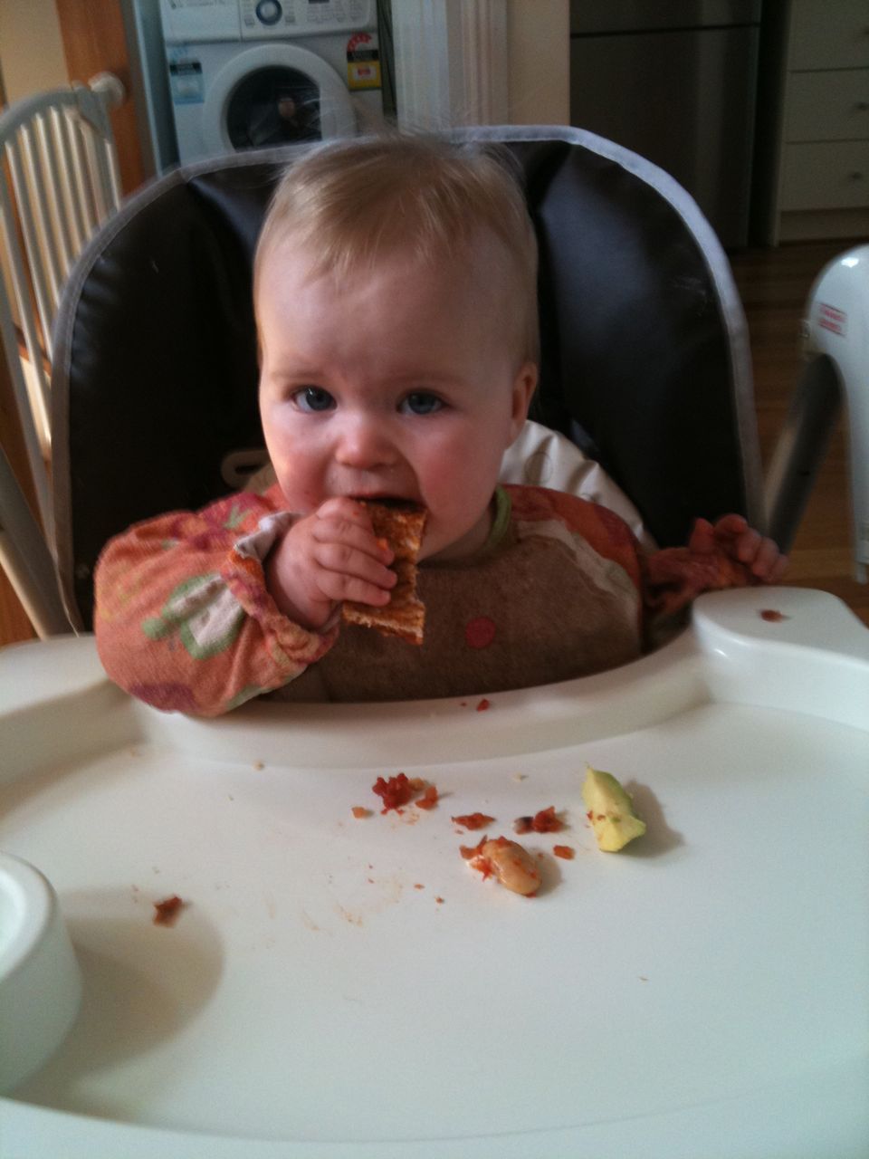 Babyled Weaning