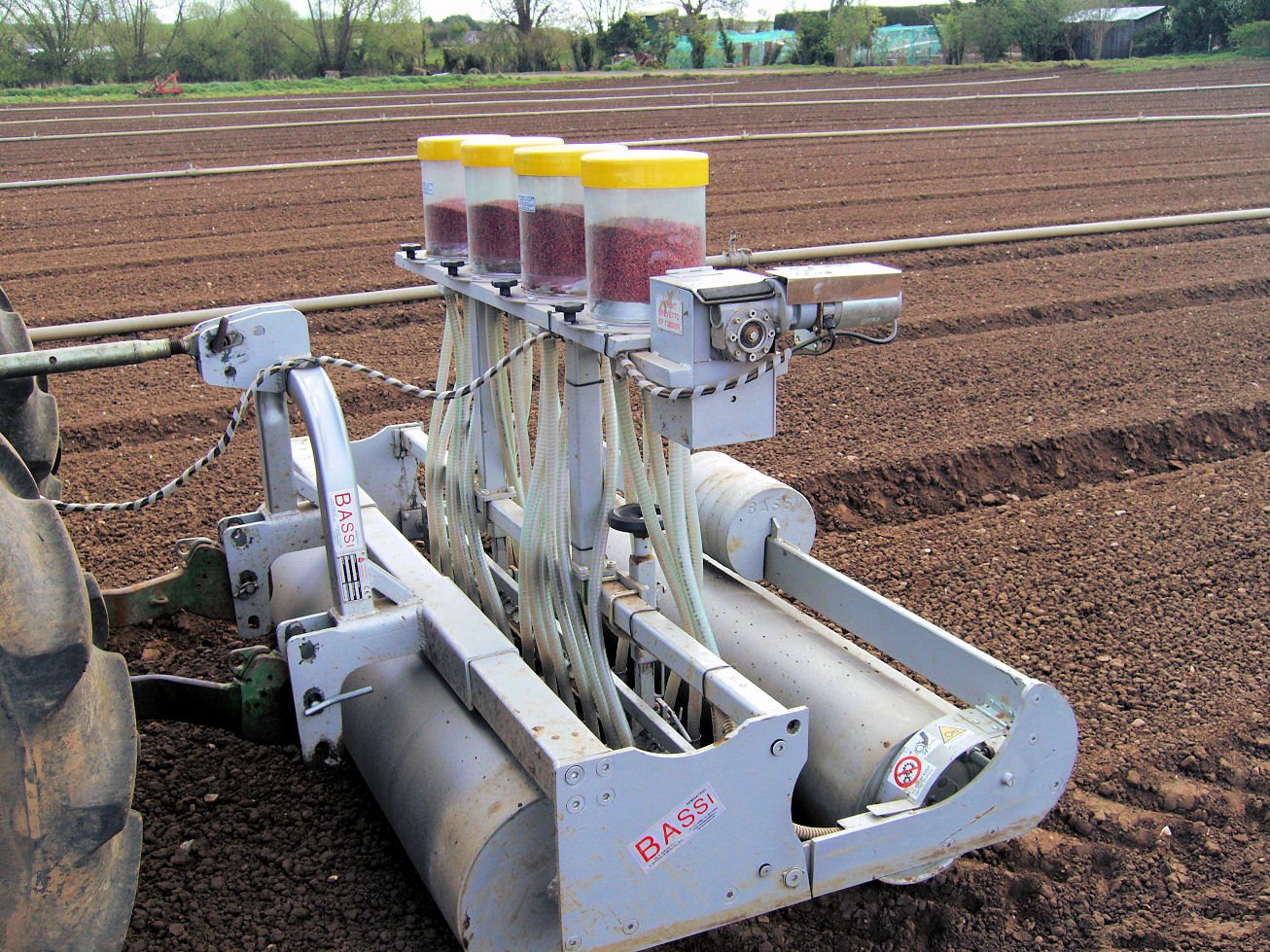 [Baby+leaf+drill.jpg]