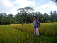 Menggendong bayi di hamparan sawah terbentang