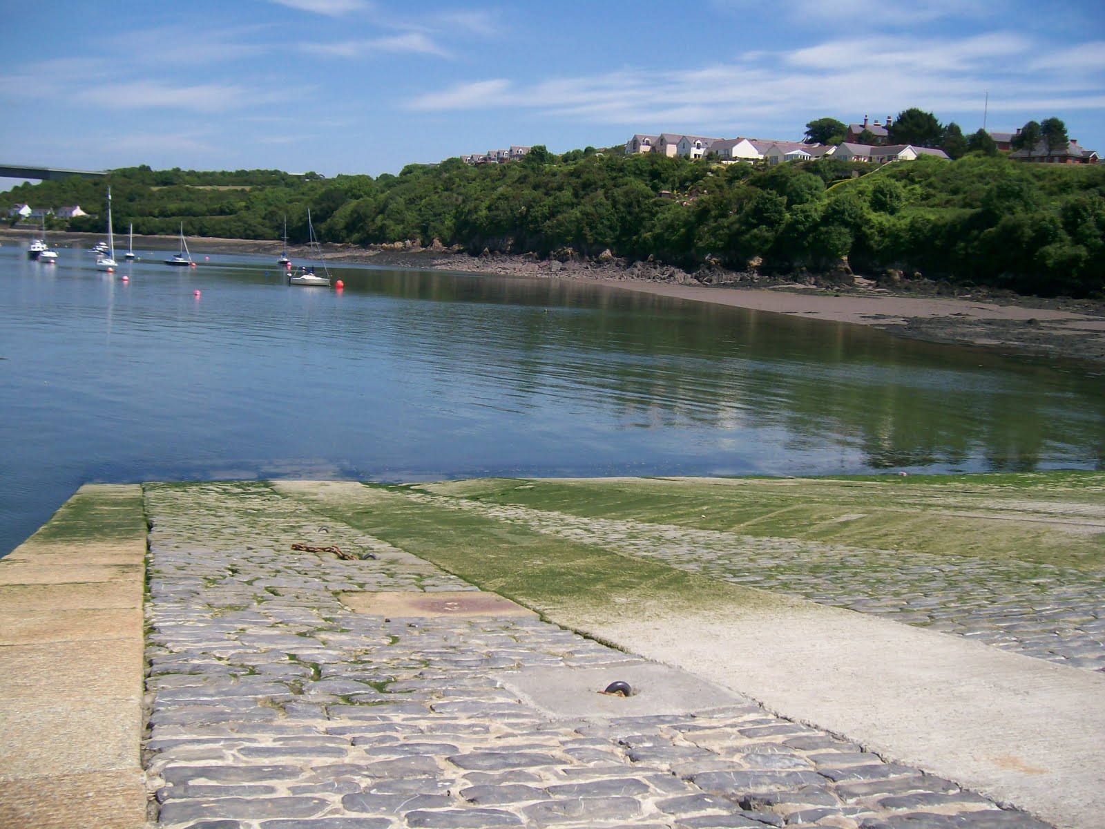 fishyfishy Pembrokeshire, Hobb's Point, Pembroke Dock.