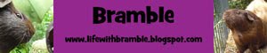 Life With Bramble