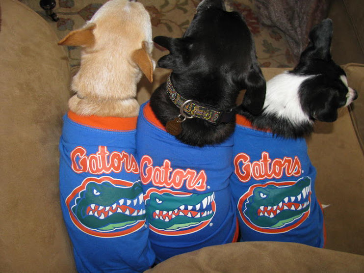 We Love Our Momma and the Gators
