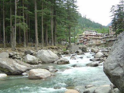 River in Mountains and Forest - Manali 