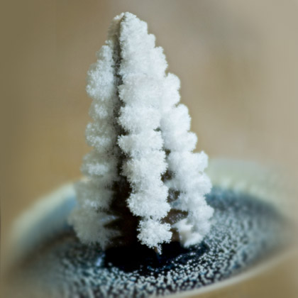 [crystal-tree-winter-craft-photo-420-FF0110BUST_A09.jpg]