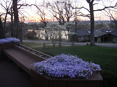 Sunset off Back Deck