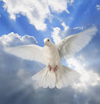 The Dove