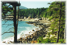 The Rocky Coast of Maine