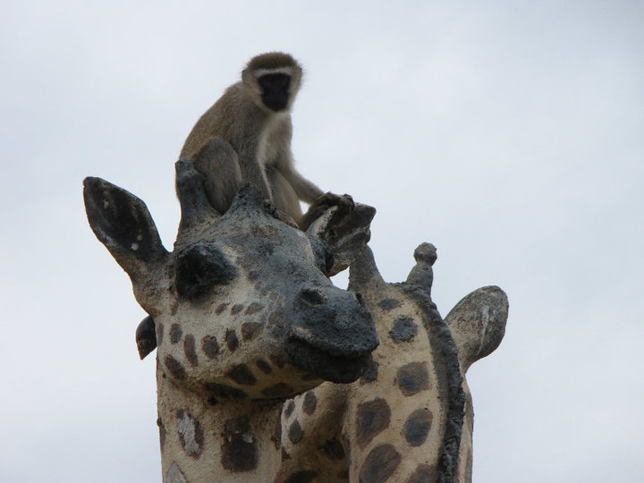 Perspective: Day 2: Entebbe