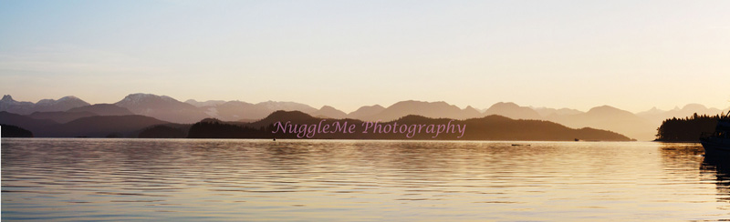 NuggleMe Photography