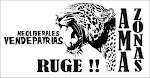 Jaguar ruge