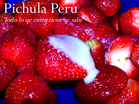 Pichula Perú