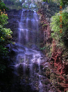 Shades of Life: Saranda Forest (Manoharpur)