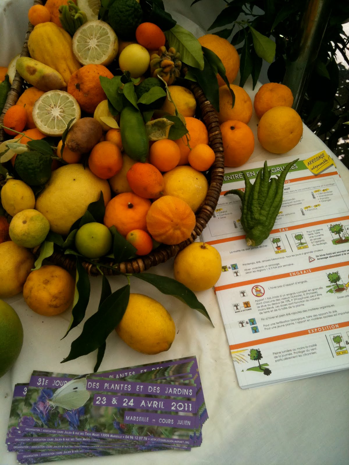 Let me tell you: Plantes & Jardins