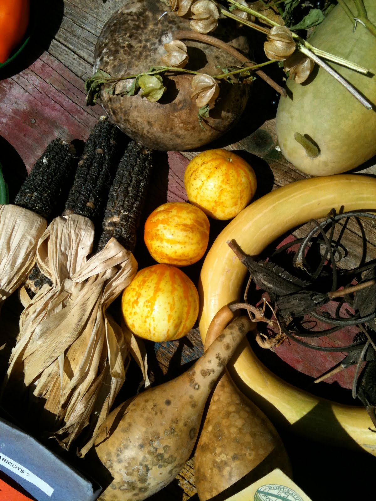 Let me tell you: Plantes & Jardins