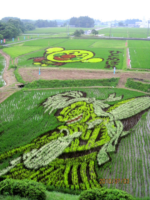 rice_art_2010_19.jpg