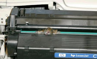 Mouse+is+jammed+at+Printer+3.jpg