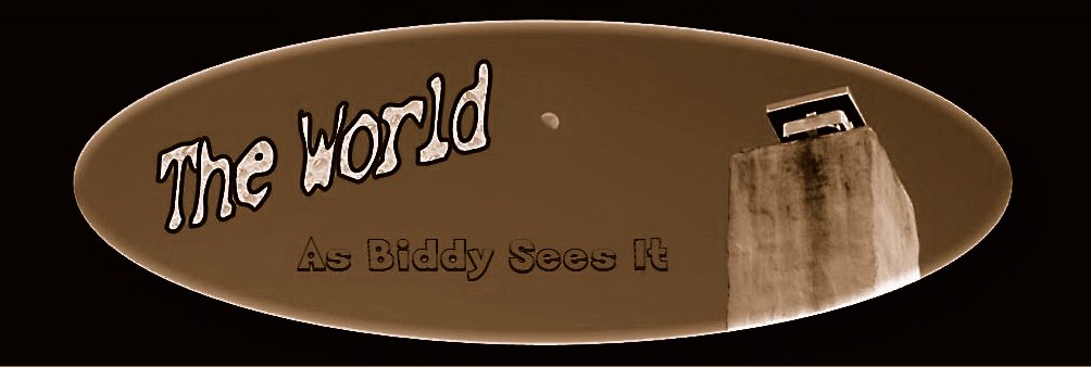 The World as Biddy Sees It