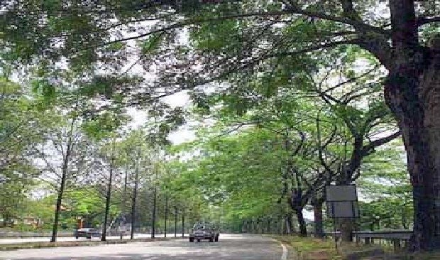 Towards A Safer, Greener, Cleaner and Close-knit MS Community