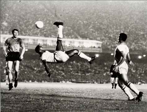 [bicicletapelekf71.jpg]