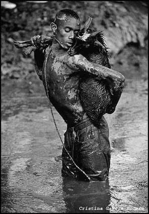 [Cristina Garcia Rodero.jpg]