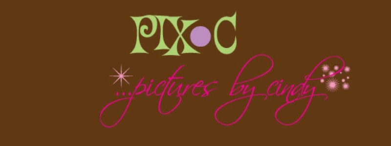 pix.c