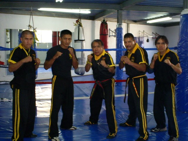 DIFERENTES ESTADOS JUNTOS