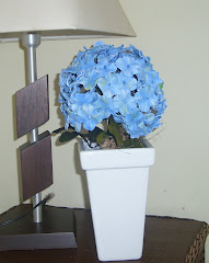 minha primeira hortência