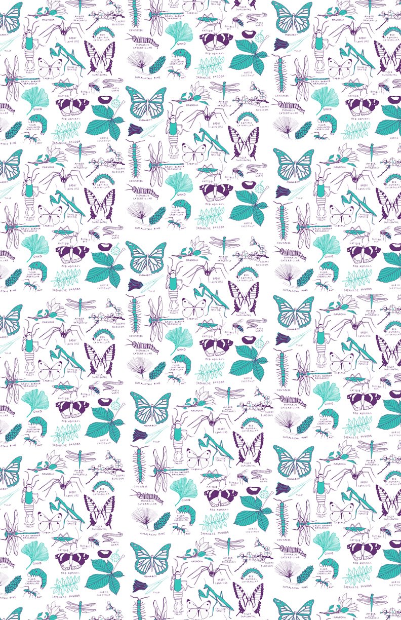 [bugs+purple.jpg]