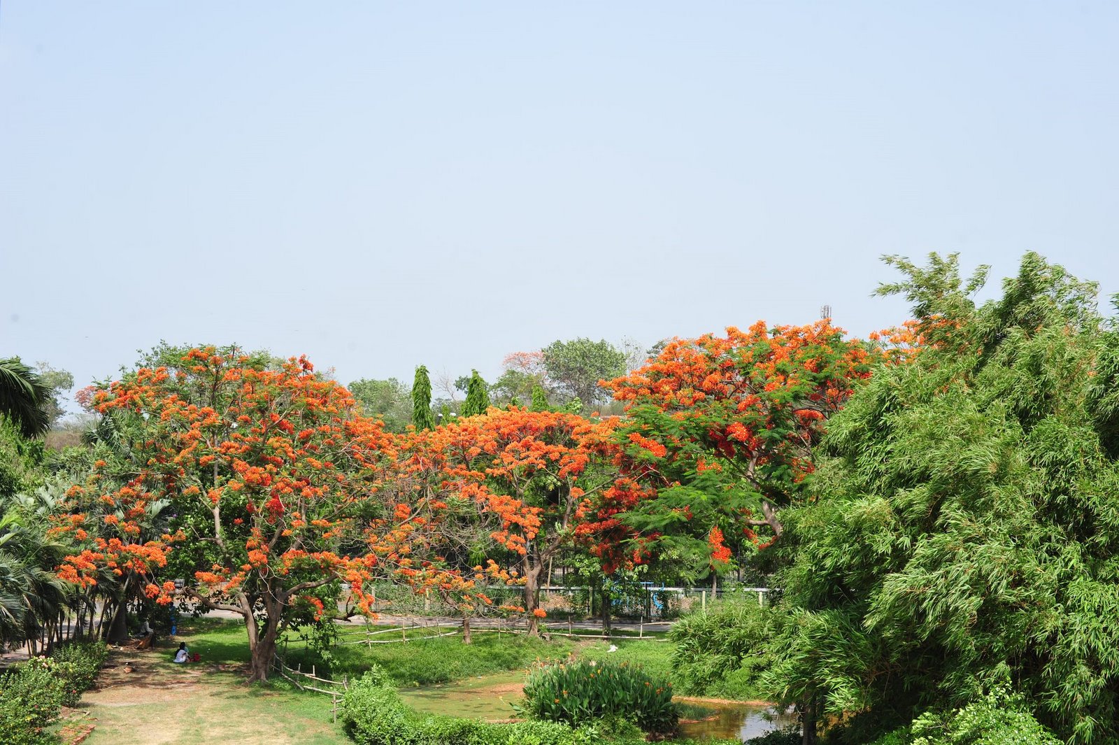 [compassion-international-india++5221.jpg]