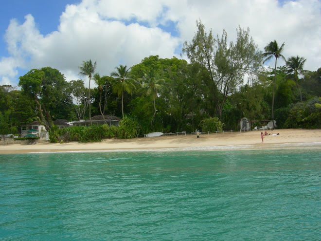 Here we swam with the turtles