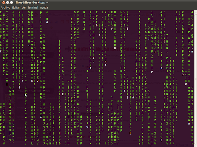 Imagen de matrix en tu terminal en Ubuntu 10.04