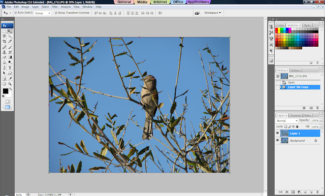 Photoshop Tutorial, How to Sharpen Your Photos, Sharp Images, Sharp Photos, Duplicate layer