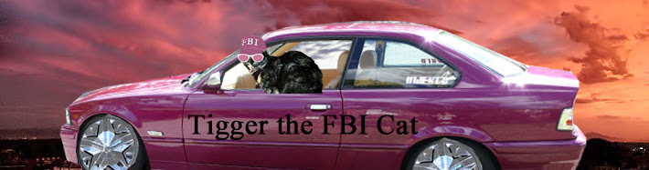 Tigger the FBI Cat