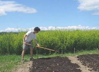 spreading compost on a raised bed