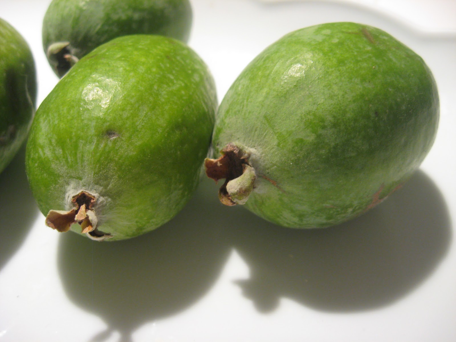 Dreamin' It Vegan Back tracking and pineapple guava